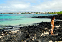Puerto Ayora harbor, Santa Cruz Island, Galapagos Islands, Ecuador Puerto Ayora harbor, Santa Cruz Island, Galapagos Islands, Ecuador