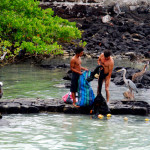 Assessing the catch, Puerto Ayora, Santa Cruz Island, Galapagos Islands, Ecuador Assessing the catch, Puerto Ayora, Santa Cruz Island, Galapagos Islands, Ecuador