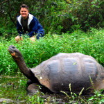 Giant tortoise, highlands of Santa Cruz Island Galapagos Islands Ecuador Giant tortoise, highlands of Santa Cruz Island Galapagos Islands Ecuador