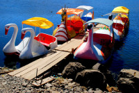Paddle boats, Puno, Peru