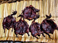 Duck jerky, Uros Islands, Peru