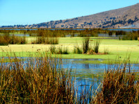 The shores of Lake Titicaca, Peru