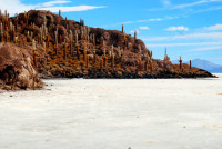 Isla de los Pescadores, Salar de Uyuni, Bolivia
