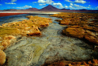 Laguna Colorada, Eduardo Avaroa Andean Fauna National Reserve, Southwest Bolivia Laguna Colorada, Eduardo Avaroa Andean Fauna National Reserve, Southwest Bolivia