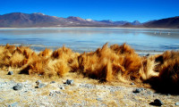 Laguna Blanca, Eduardo Abaroa Andean Fauna National Reserve, Southwest Bolivia