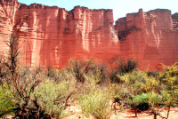 Talampaya canyon, Talampaya National Park, near La Rioja, Argentina