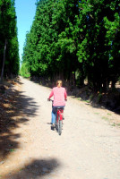 Touring the wineries of Maipu, Argentina