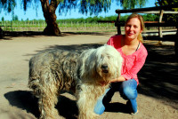 Wine, food...and dogs. Christi is very happy in Maipu, Argentina