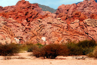 Quebreda de Cafayete, Argentina