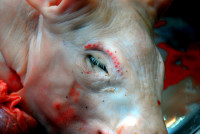 Raw materials, central market, Mendoza, Argentina