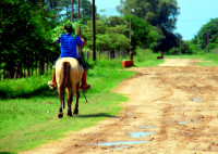 Looking for shade, Colonia Carlos Pelligrini, Argentina