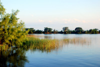 Ibera Wetlands, Argentina Ibera Wetlands, Argentina