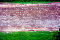 Main street Colonia Carlos Pellegrini during the monsoon Main street Colonia Carlos Pellegrini during the monsoon