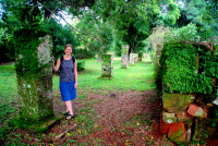 Columns and strangler figs, Mission San Ignacio mini, Argentina