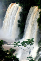 Water fall, Iguazu Falls National Park, Argentina Water fall, Iguazu Falls National Park, Argentina