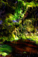 Alberto De Agostini National Park, Tierra del Fuego, Chile