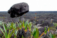 Skull rock, summit of Roraima, Canaima national park, Venezuela Skull rock, summit of Roraima, Canaima national park, Venezuela