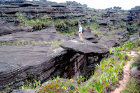 Adventurous hiking, summit of Roraima, Canaima national park, Venezuela Adventurous hiking, summit of Roraima, Canaima national park, Venezuela
