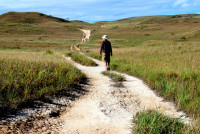 Ambling along the final stretch of the Roraima trek, Gran Sabana, Venezuela Ambling along the final stretch of the Roraima trek, Gran Sabana, Venezuela