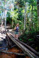 Not Christi's favorite: a rickety bridge. Roraima trek, Gran Sabana, Venezuela Not Christi's favorite: a rickety bridge. Roraima trek, Gran Sabana, Venezuela