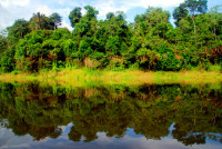 Reflections on the Amazon River, Mamiraua Sustainable Development Reserve, Amazonia, Brazil Reflections on the Amazon River, Mamiraua Sustainable Development Reserve, Amazonia, Brazil