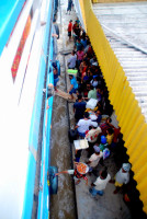 Frenetic activity at Codajas, Rio Solimoes, Amazonia, Brazil, Frenetic activity at Codajas, Rio Solimoes, Amazonia, Brazil,