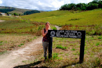 Trail head, Roraima trek, Canaima national park, Venezuela Trail head, Roraima trek, Canaima national park, Venezuela