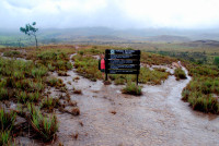 Entering a very wet Cainama national park proper, Venezuela
