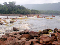 Going against the rapids of the Carrao River, Canaima national park, Venezuela Going against the rapids of the Carrao River, Canaima national park, Venezuela