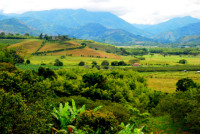 Hacienda Bambusa and surrounding countryside, Armenia, Colombia