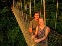Canopy walk at dawn, Kakum national park, Ghana, West Africa