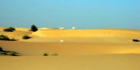 Goats taking a leisurely stroll in the Sahara Desert at Timbuktu, Mali, Africa Goats taking a leisurely stroll in the Sahara Desert at Timbuktu, Mali, Africa