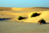 Sahara Desert at Timbuktu, Mali, Africa Sahara Desert at Timbuktu, Mali, Africa