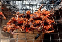 Fruit bat funeral pyre, Kumasi, Ghana, Africa