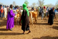Negotiations, Kati market, Mali, Africa Negotiations, Kati market, Mali, Africa