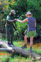 Careful does it there are crocodiles down there! Mole NP walking safari, Ghana, Africa Careful does it there are crocodiles down there! Mole NP walking safari, Ghana, Africa