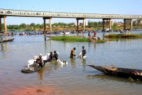 The Senegal River, Kayes, Mali, Africa The Senegal River, Kayes, Mali, Africa