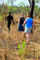 Christi bravely leads the pack on our Mole NP walking safari, Ghana, Africa Christi bravely leads the pack on our Mole NP walking safari, Ghana, Africa