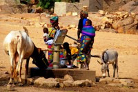 Pumping water, Dogon Country, Mali, Africa Pumping water, Dogon Country, Mali, Africa