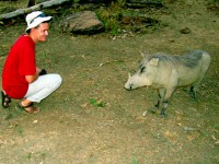 Making new friends, Mole National Park, Ghana, Africa