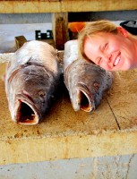 All the fun of the fish market, Nouakchott, Mauritania, Africa