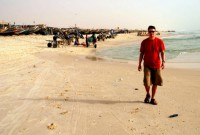 An afternoon at the fish market, Nouakchott, Mauritania, Africa