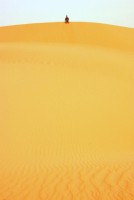 Soaring sand dunes, Tanouchert Oasis, Mauritania, Africa