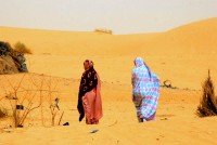 Going shopping, Tanouchert Oasis, Mauritania, Africa