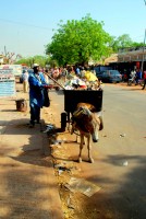 Trash collector (a rare sight in Africa), Tambacounda, Senegal Trash collector (a rare sight in Africa), Tambacounda, Senegal