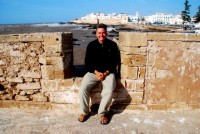 The Atlantic Coast and Medina, Essaouira, Morocco, Africa