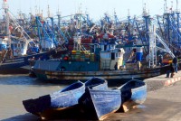 Fishing boats, Essaouira harbor, Morocco, Africa