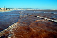 Essaouira beach, Morocco, Africa