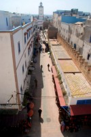 Essaouira medina from our rooftop breakfast spot, Morocco, Africa