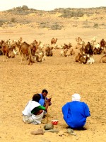 Ahmed and Mahmoud get directions from a local camel herder, Mauritania, Africa